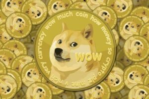 dogecoin interest by state