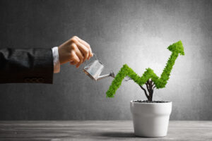 investment growth as a plant