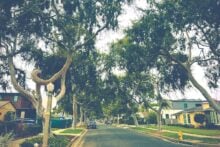 Quaint neighborhood with houses