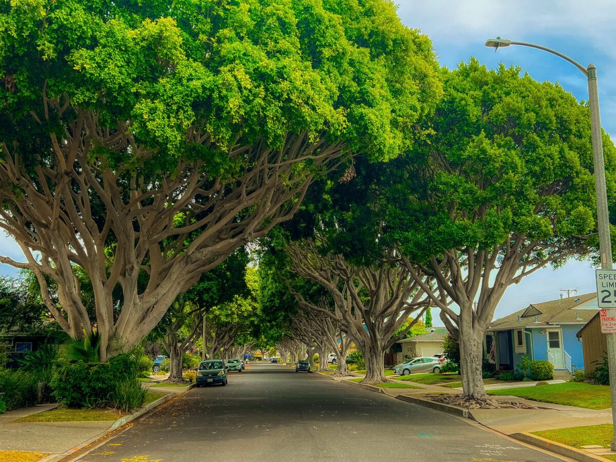 Quaint neighborhood