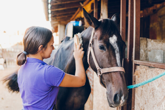 Young girl combing the mane of horse