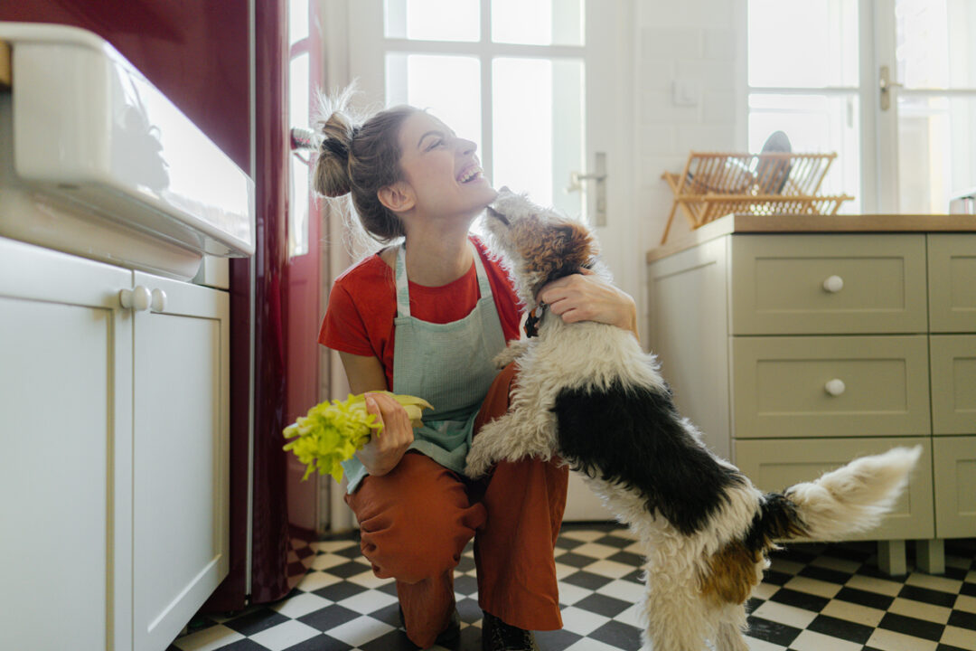 Pet chef