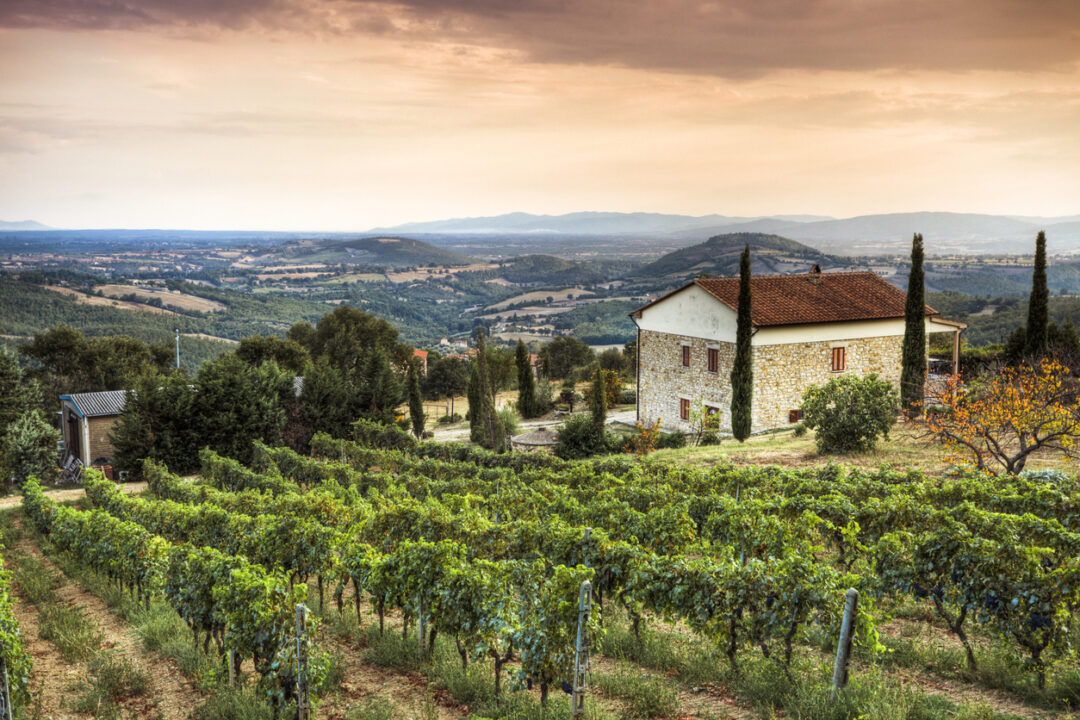 Tuscany Landscape