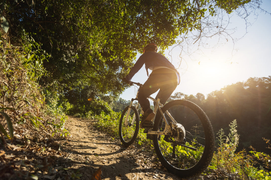 Cycling on sunrise forest trail