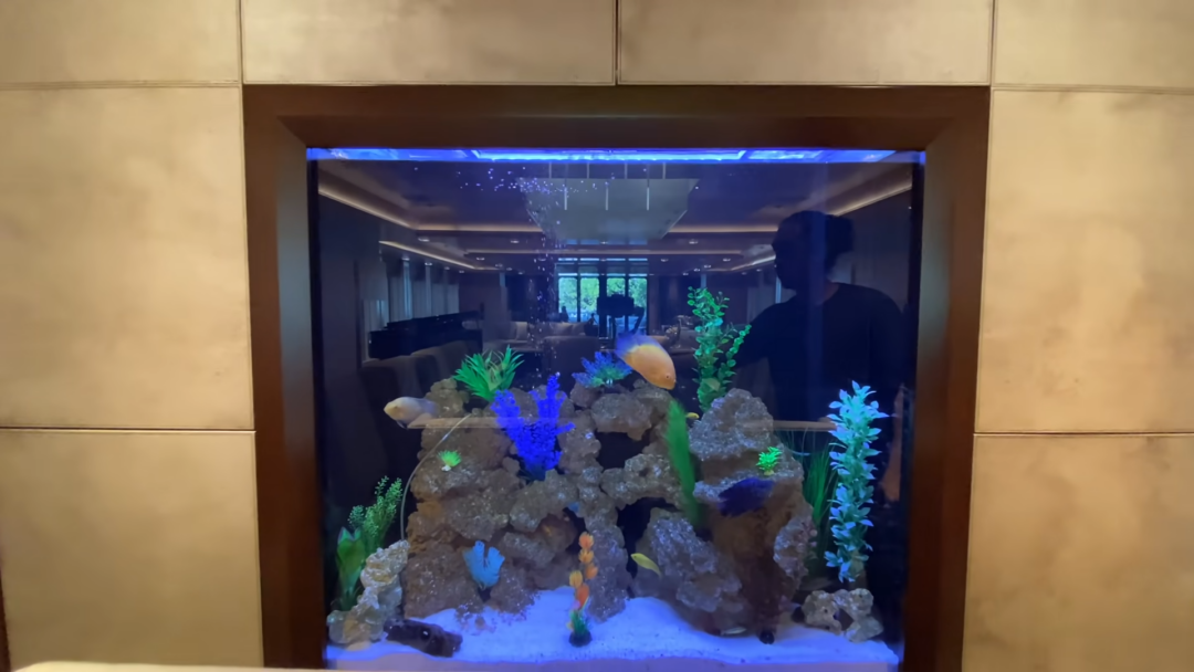 The fish tank on a 60 million dollar yacht