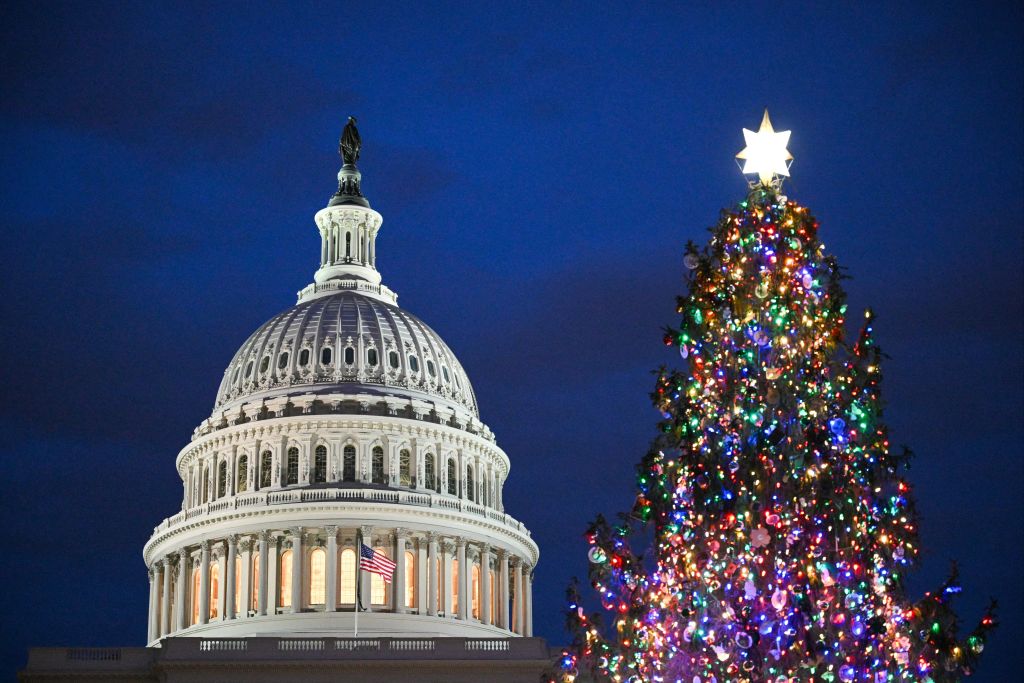 Washington DC Capitol Christmas Tree