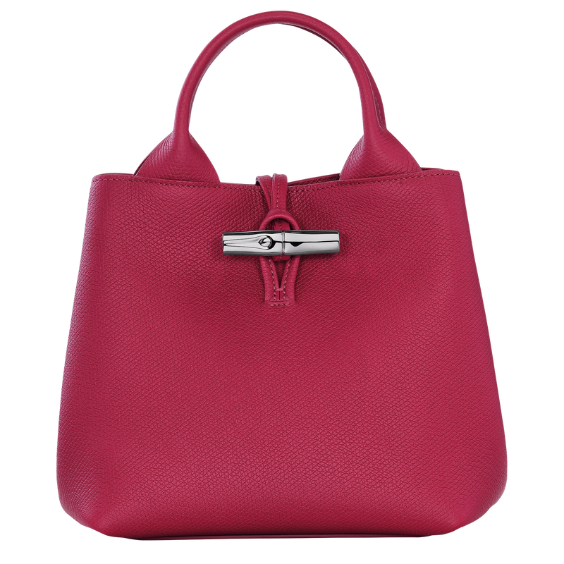 Longchamp bag