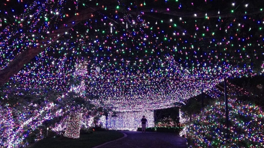 A person walks along a path under an archway of dense, colorful, twinkling holiday lights in a garden, creating a dazzling, festive ambiance. The surroundings are illuminated with various hues, including blue, red, green, and white lights.