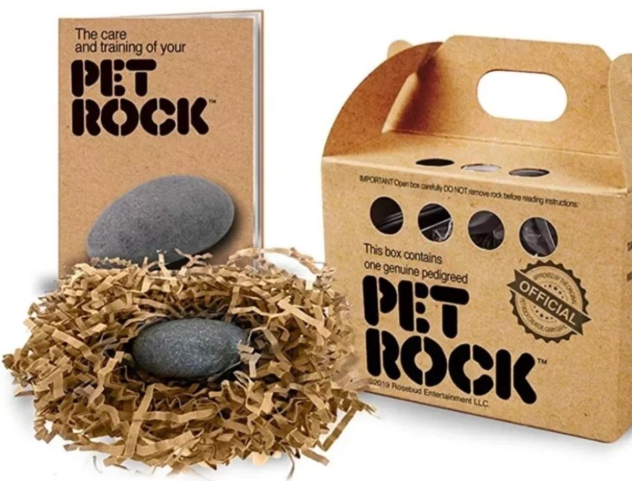 A boxed Pet Rock set featuring a rock nestled in shredded paper, alongside a care and training booklet. The box is labeled "Pet Rock" and has a handle for easy carrying.