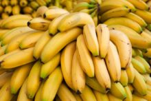 A large pile of ripe bananas with yellow skins and slight green tinges at the tips. The bananas are neatly stacked, creating a textured and vibrant display.