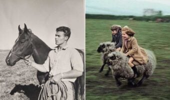On the left, a man holds a horse's reins in a field. On the right, two children ride running sheep through a grassy field, both smiling and holding on tightly.