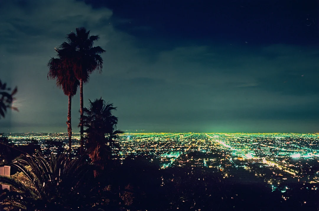 Nighttime cityscape viewed from above, with palm trees silhouetted in the foreground and city lights stretching out to the horizon under a cloudy sky.