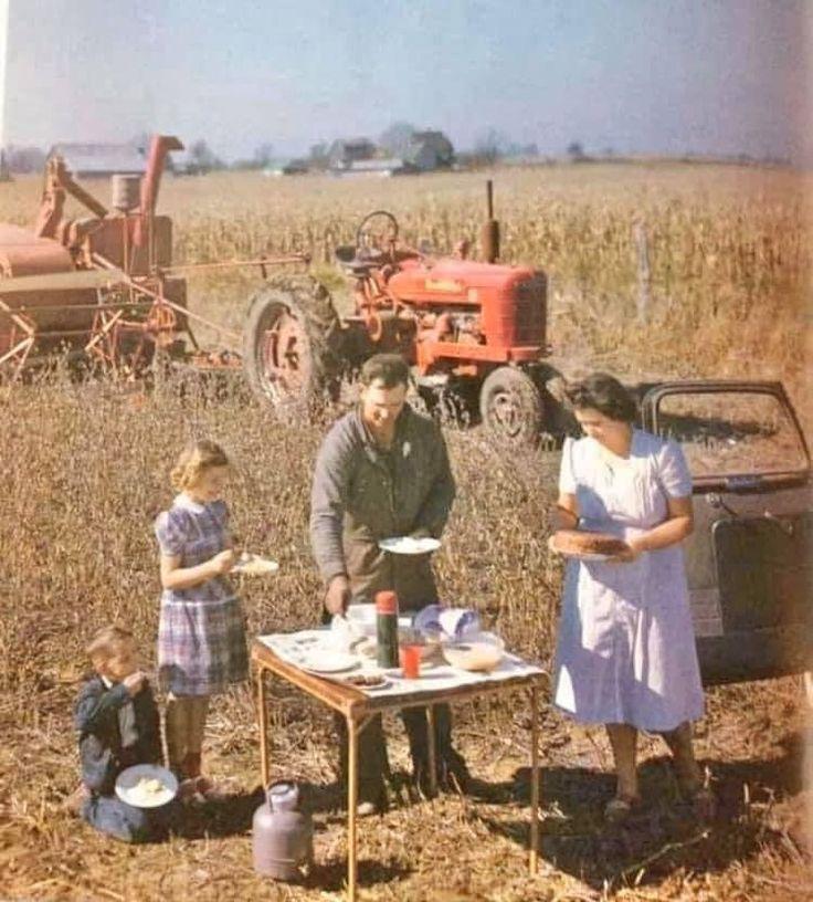 A family of four stands around a small table set for a meal in a field, with a red tractor and crops in the background. The adults and two children appear to be enjoying a picnic next to their parked car.