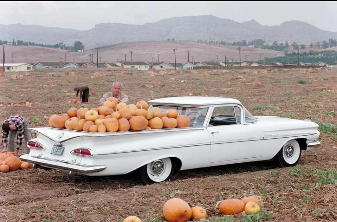 A vintage white Chevrolet El Camino is parked in a pumpkin field, with its bed filled with pumpkins. Two people are picking pumpkins nearby, and hills and houses are visible in the background.