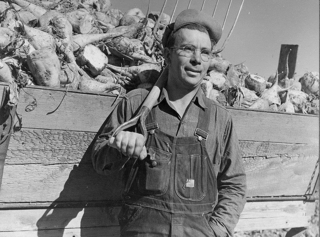 A man in overalls and a cap leans against a wooden cart filled with harvested root vegetables, holding a pitchfork over his shoulder, outdoors under a clear sky.