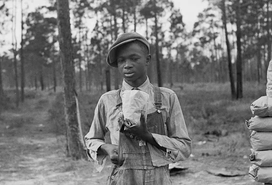 A young boy wearing overalls and a cap stands outdoors in a wooded area, holding a wrapped item. Tall trees and a stack of sacks are visible in the background.