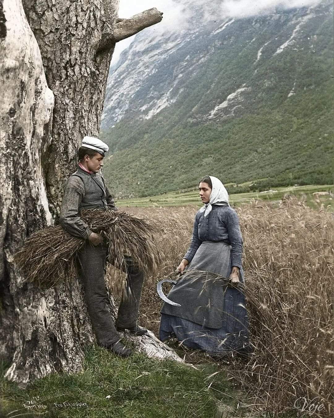 A young man leans against a large tree holding a bundle of harvested grain, while a woman in a headscarf and apron stands nearby with a sickle, set in a grassy field with mountains in the background.