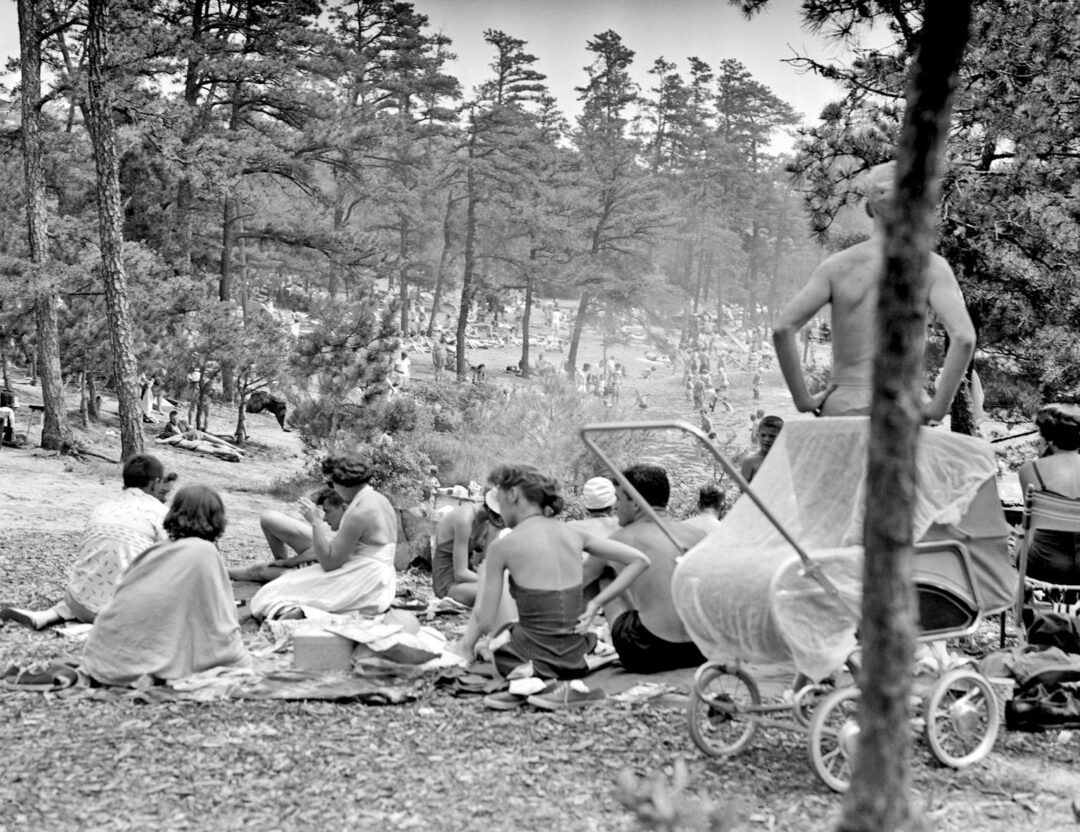People sit on the ground with towels and blankets in a wooded area near a lake or beach. A baby stroller is in the foreground, and more people can be seen relaxing and walking in the distance among the trees.
