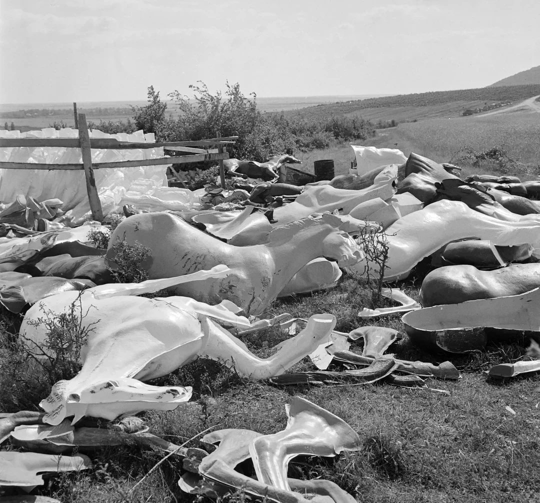 Broken and discarded fiberglass horse figures lie scattered on grassy ground near a wooden fence in an open rural landscape under a partly cloudy sky.