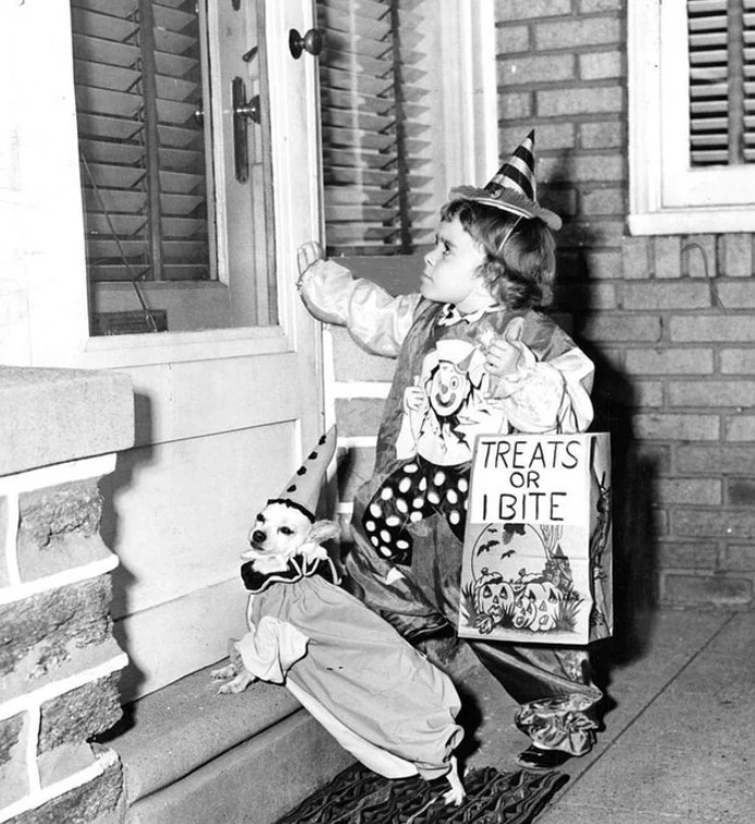 A child in a clown costume and party hat stands at a front door holding a Halloween bag that says "TREATS OR I BITE," accompanied by a small dog also dressed in a clown outfit and hat.