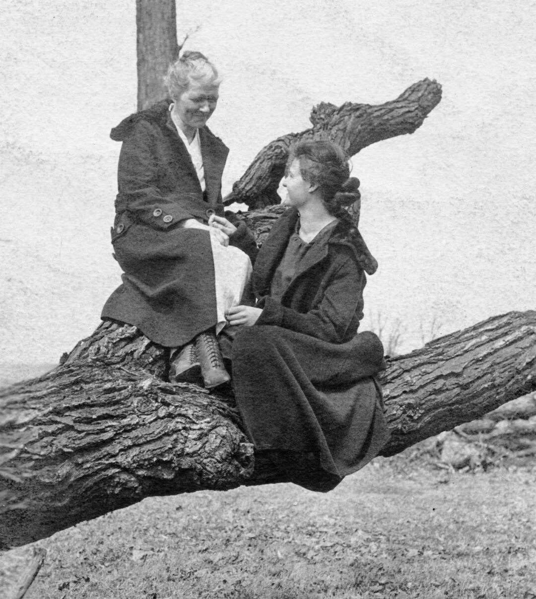 Two women in long coats sit on a large, horizontal tree branch outdoors. One woman looks at the other, holding a flower, while the other sits higher on the branch, smiling gently. The setting appears natural and serene.