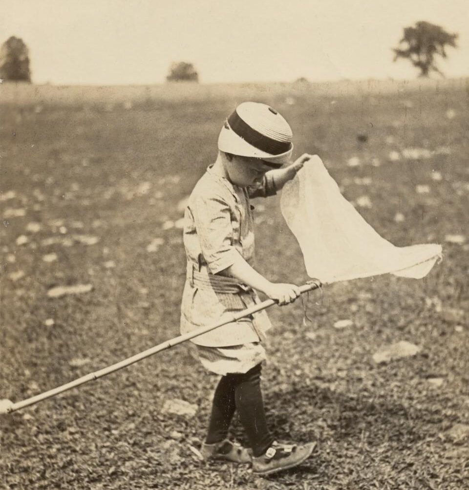 A young child in vintage clothing and a striped hat walks through a grassy field, holding a butterfly net and looking down, with trees and open sky in the background.