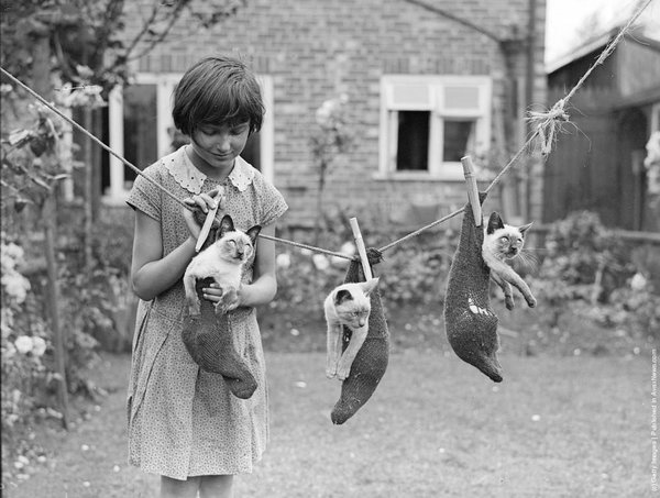 A young girl stands in a yard, smiling as she holds a clothesline with three kittens sitting inside hanging socks, each clipped to the line with clothespins. A brick house and yard are visible in the background.