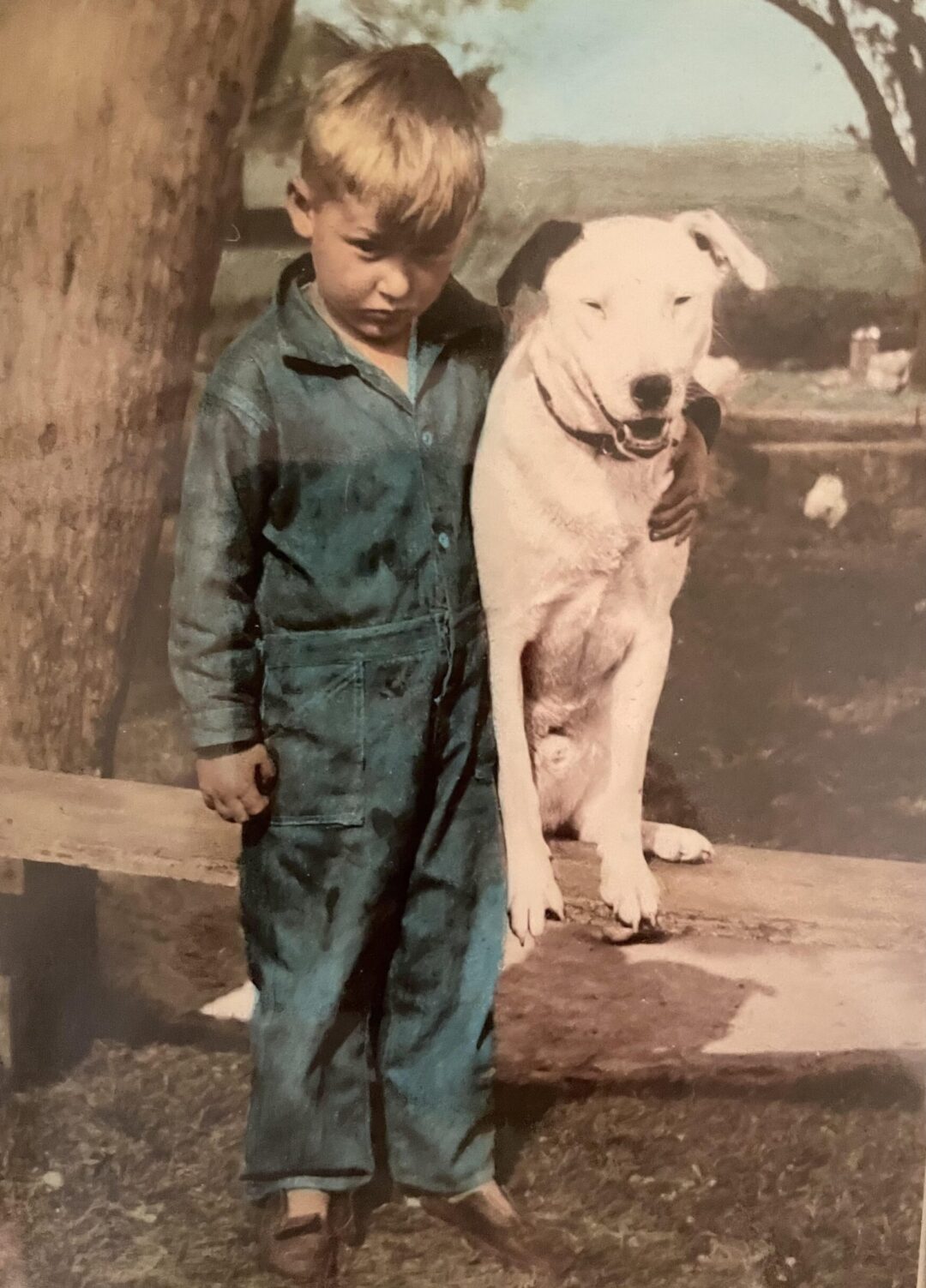 Young boy in a blue jumpsuit stands next to a white dog, his arm around the dog’s neck. They are outdoors beside a tree, both looking at the camera with serious expressions. The background shows grass and blurred scenery.