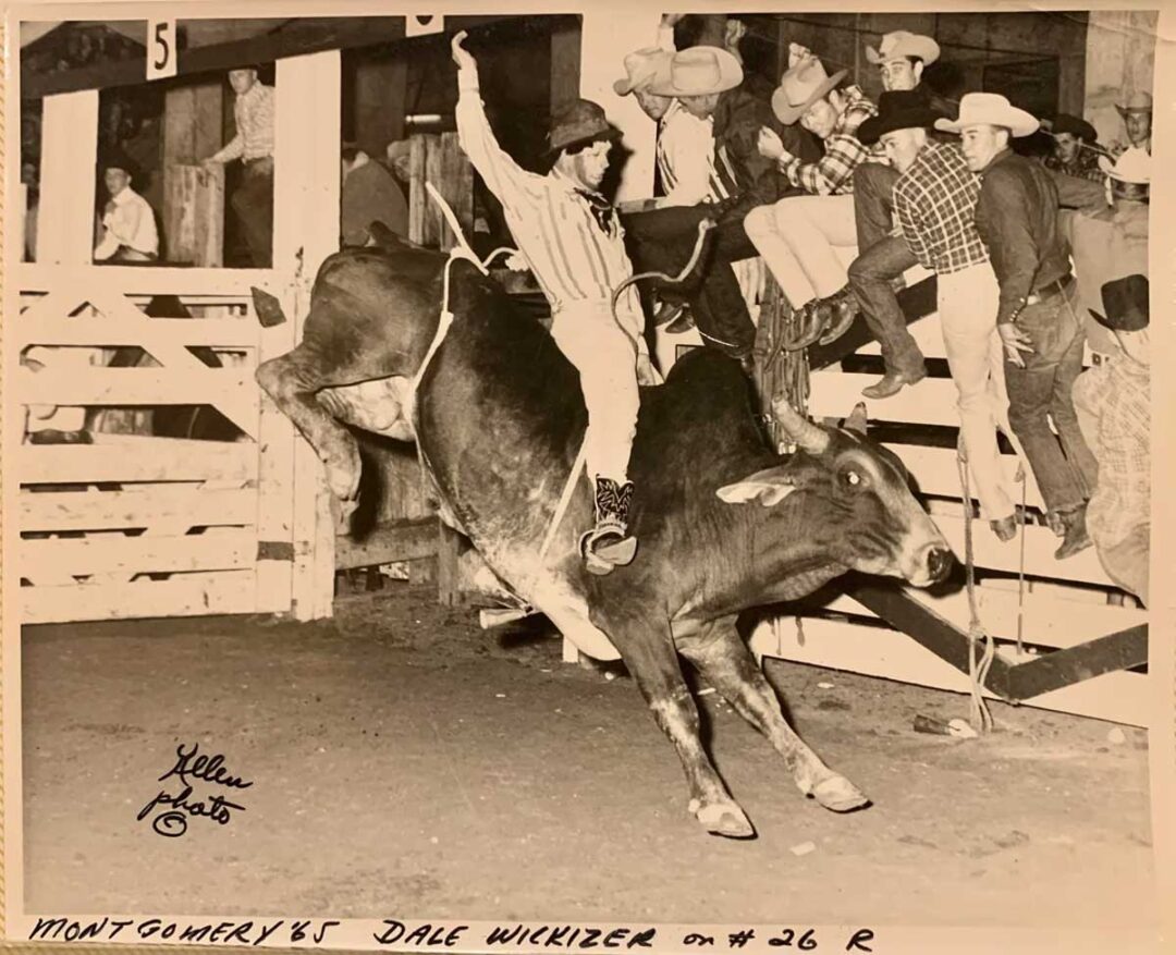 A rodeo rider balances on a bucking bull in an arena while spectators watch from behind a fence. The rider has one arm raised and wears a cowboy hat and chaps. Handwritten text names the rider and event.