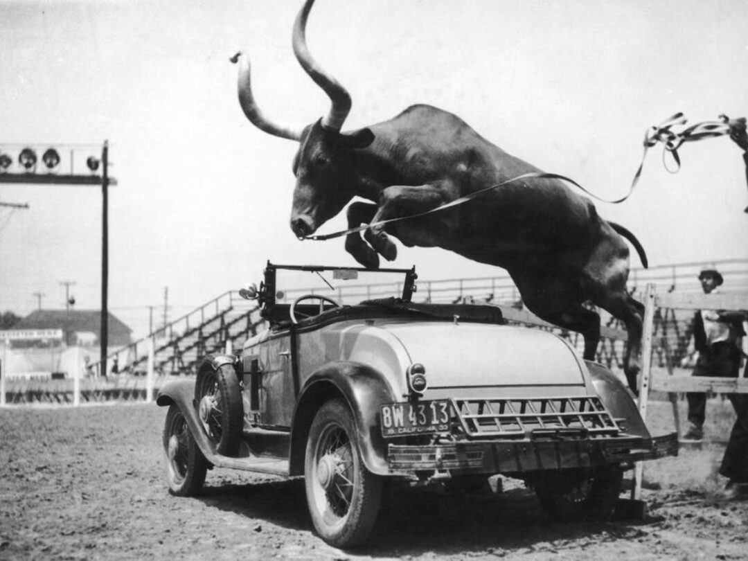 A large bull with long horns leaps over an open-top vintage car in a rodeo arena, while a rope dangles in the air and a person stands nearby holding the gate.