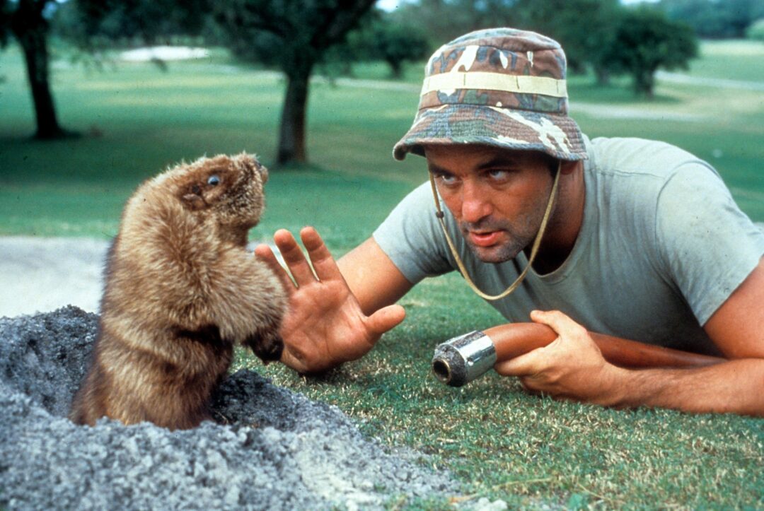 A man in a camouflage hat and gray t-shirt holds a hose and faces a gopher emerging from a hole on a grassy field, raising his hand as if communicating with the animal.