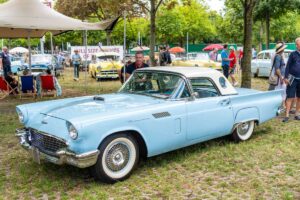 A light blue vintage car with a white roof is parked on grass at an outdoor car show. People stand nearby, and other classic cars are visible in the background under trees.