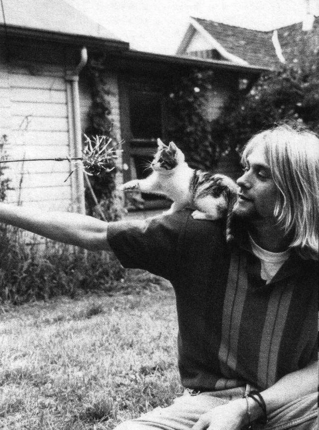 A young man with long blonde hair sits outside, a small kitten perched on his shoulder as he extends his arm to hold a plant. They both look toward the plant, in a yard with buildings in the background.