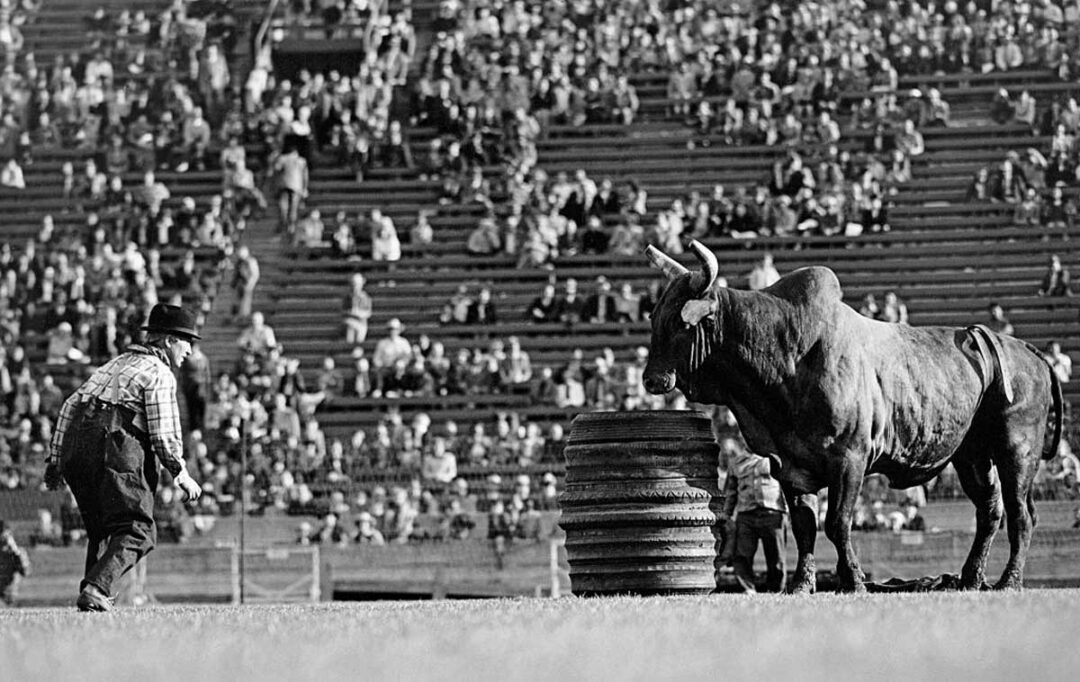 A rodeo clown faces a large bull near a stack of barrels in an arena, with many spectators watching from the stands in the background.