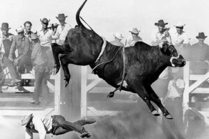 A cowboy falls to the ground as a bull leaps high into the air at a rodeo, with dust flying and a crowd of people in hats watching from wooden bleachers in the background.
