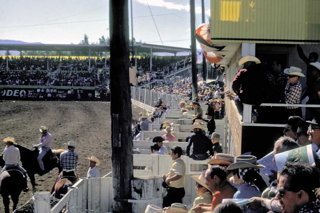 A busy rodeo scene with cowboys in hats preparing near gates, spectators filling the stands, and one rider on horseback in the dirt arena. The atmosphere is lively under a bright, sunny sky.
