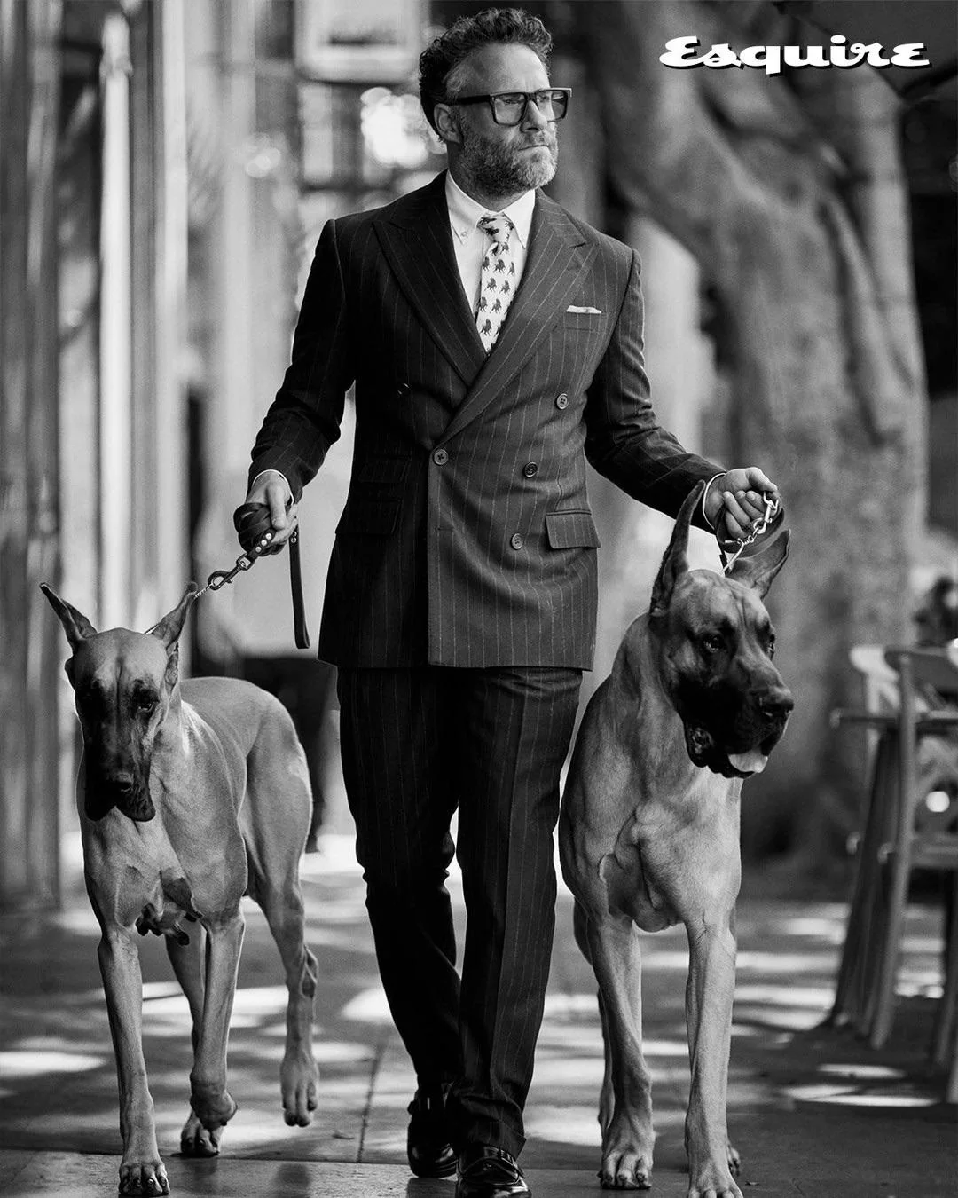 A man in a pinstripe suit and glasses walks two large Great Danes on leashes along a city sidewalk. The image is in black and white and features the Esquire logo in the top right corner.