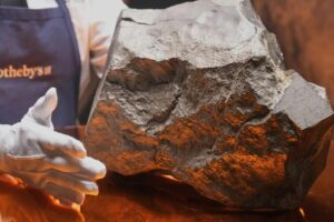 A person wearing white gloves and a “Sotheby’s” apron presents a large, irregularly shaped gray rock, possibly a meteorite, displayed on a shiny surface with warm lighting.