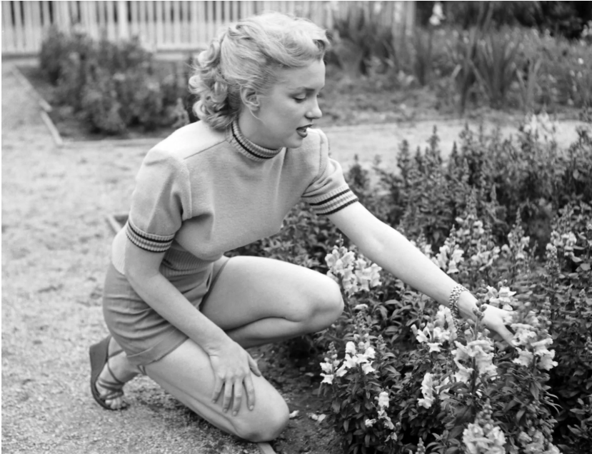 A woman with light hair in a short-sleeved top and shorts kneels in a garden, reaching out to touch blooming flowers. The background shows more plants and a fence. The image is in black and white.