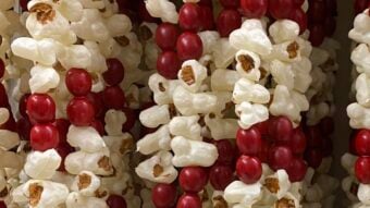Strands of garlands made of alternating popcorn and red berries, closely hung together in vertical rows, creating a festive and textured pattern.