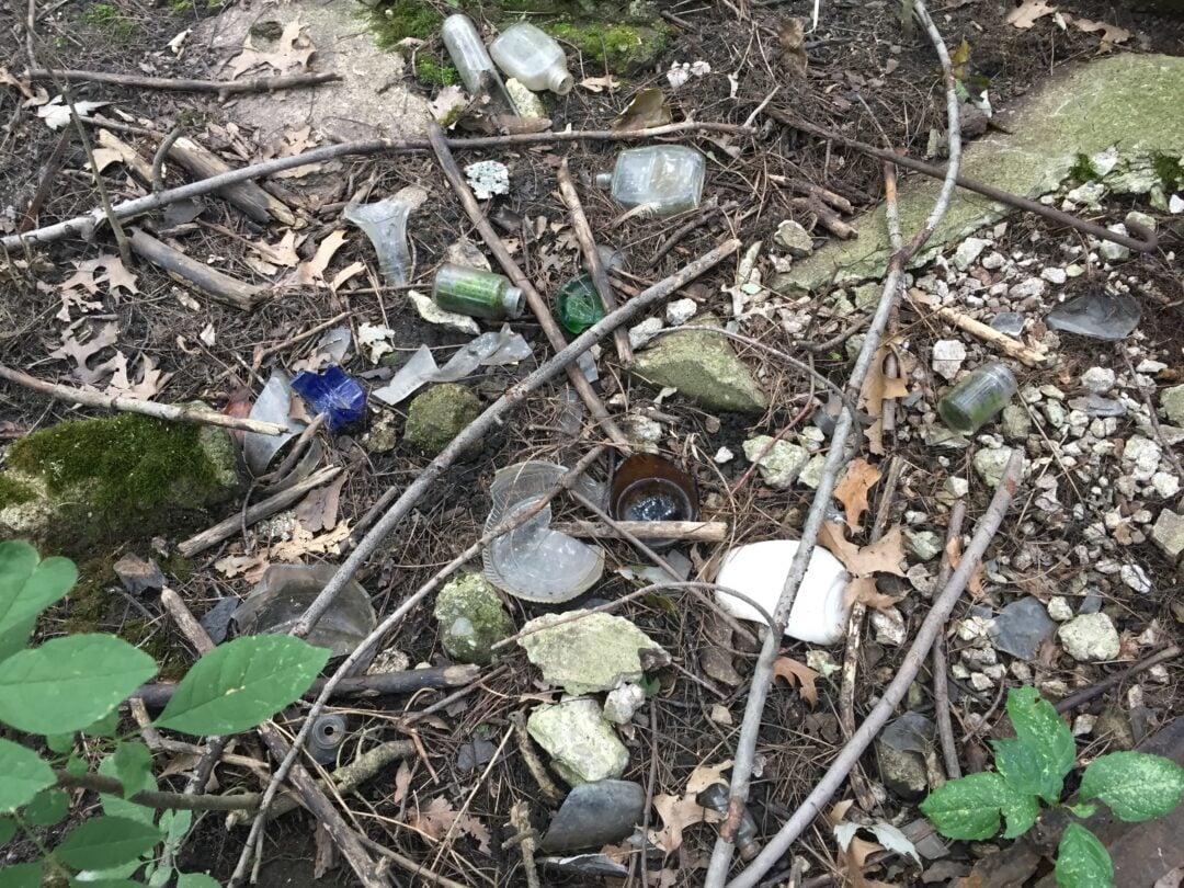 Broken glass bottles, jars, and other litter scattered on the ground among sticks, rocks, dried leaves, and patches of moss in a wooded outdoor area.