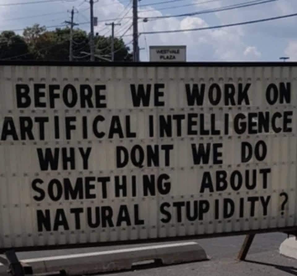 A sign reads: "BEFORE WE WORK ON ARTIFICIAL INTELLIGENCE WHY DONT WE DO SOMETHING ABOUT NATURAL STUPIDITY?" with a spelling error in "ARTIFICIAL." The sign is outside, near power lines and a street.