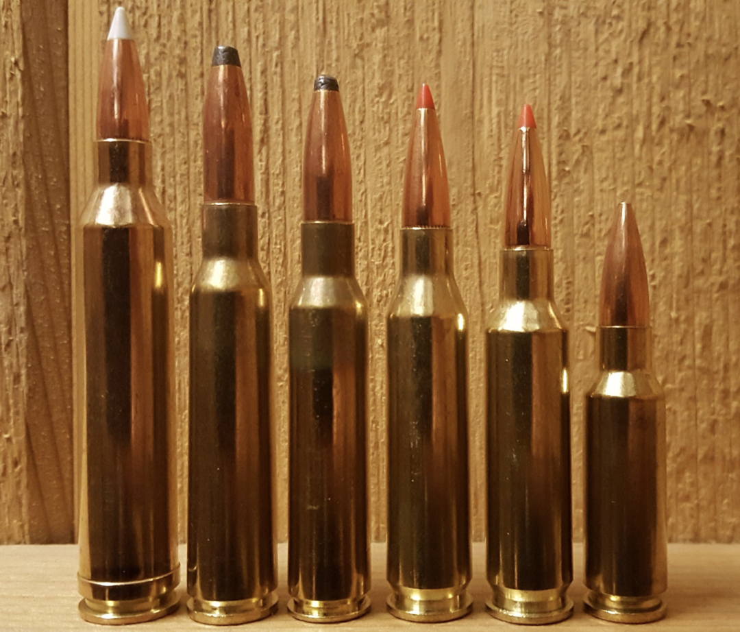 Six rifle cartridges of varying sizes and bullet tips are lined up vertically against a wooden background. The cartridges have brass cases and pointed copper-colored bullets.