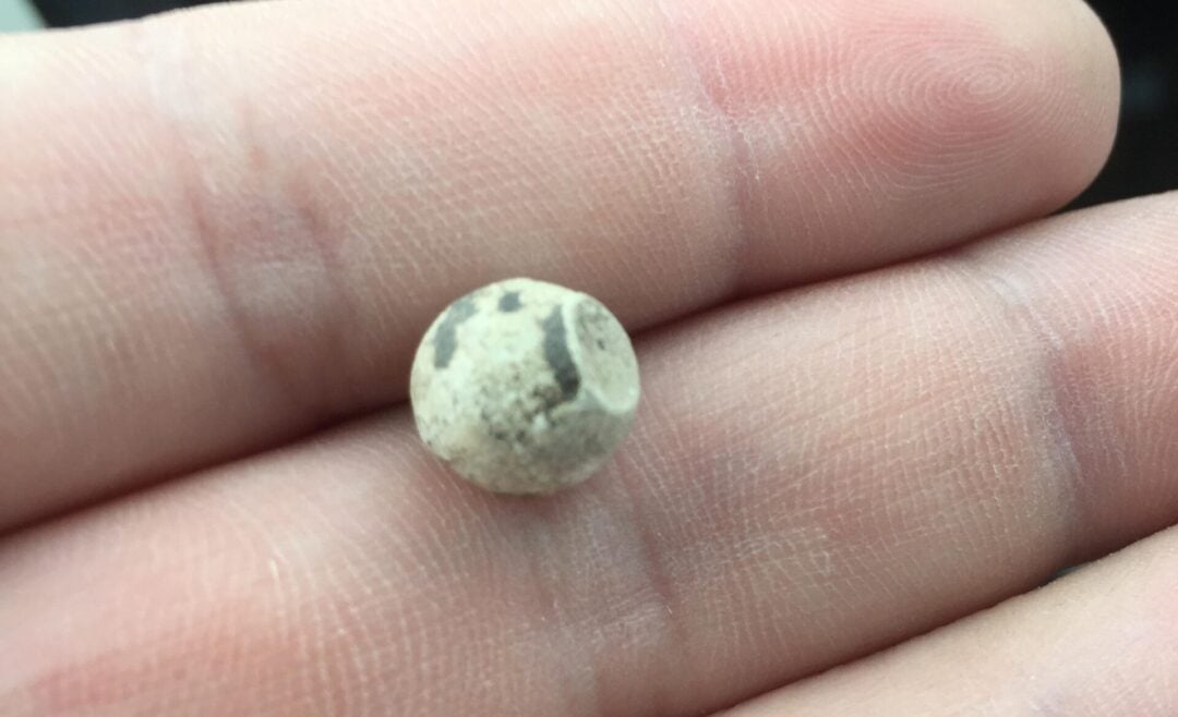 A close-up of a person's fingers holding a small, round, beige object with dark spots, possibly a tiny egg, against a blurred background.
