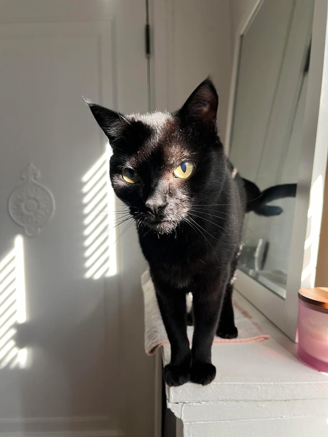 A black cat with yellow eyes stands on a white surface by a window, with sunlight casting stripes of light and shadow on its fur. A pink container and a towel are also visible nearby.