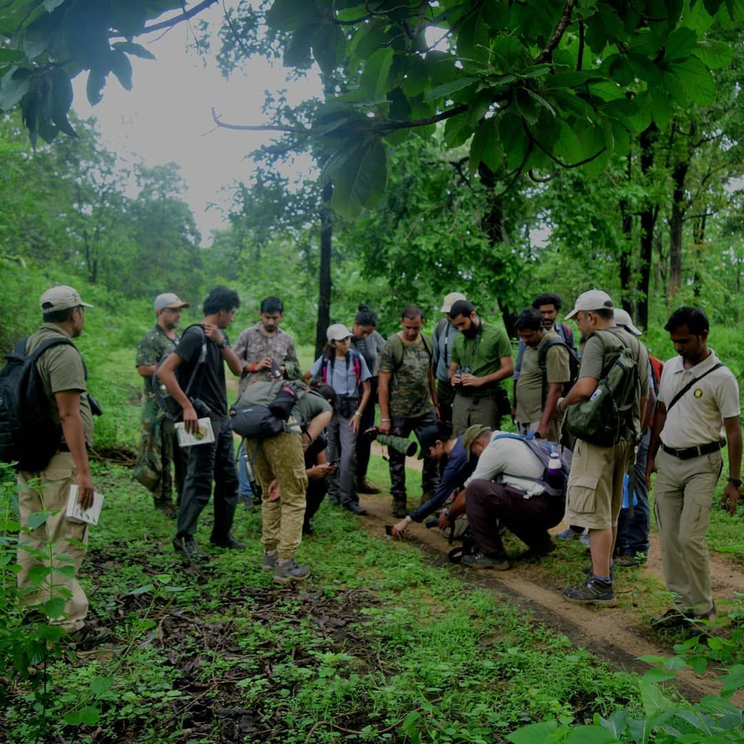 A group of people in outdoor clothing and backpacks closely examine the ground on a forest trail, surrounded by lush green trees and foliage. Some are crouching, others stand observing attentively.
