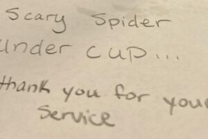 A handwritten note on white paper says, "Scary spider under cup... thank you for your service.