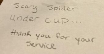 A handwritten note on white paper says, "Scary spider under cup... thank you for your service.