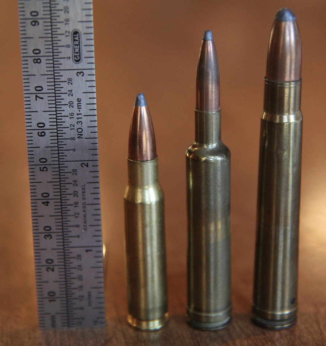 Three rifle cartridges of varying sizes are standing upright next to a metal ruler showing centimeters and millimeters, with the tallest cartridge measuring about 94mm. The background is a brown, blurred surface.