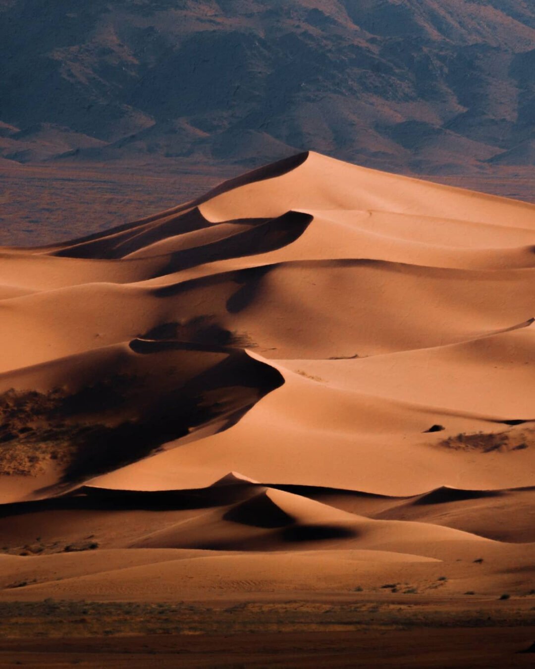 Sweeping sand dunes with smooth, curving ridges rise in layers under soft sunlight, casting deep shadows, with distant dark mountains in the background.